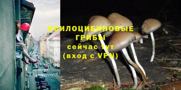 гидропоника Кинешма