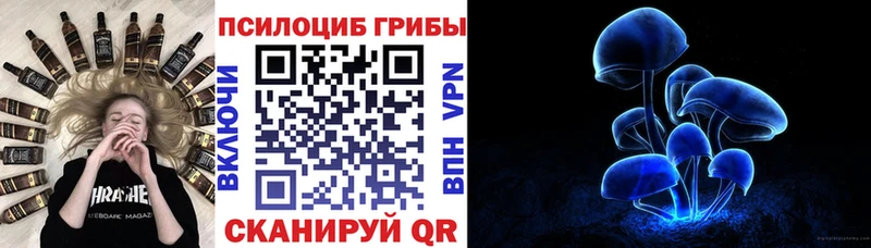 Галлюциногенные грибы Psilocybe  Купить  Бугульма 